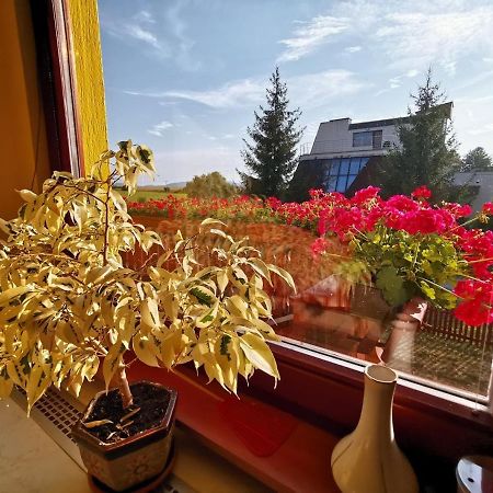 Apartmán Adrianka Turčianske Teplice Exteriér fotografie