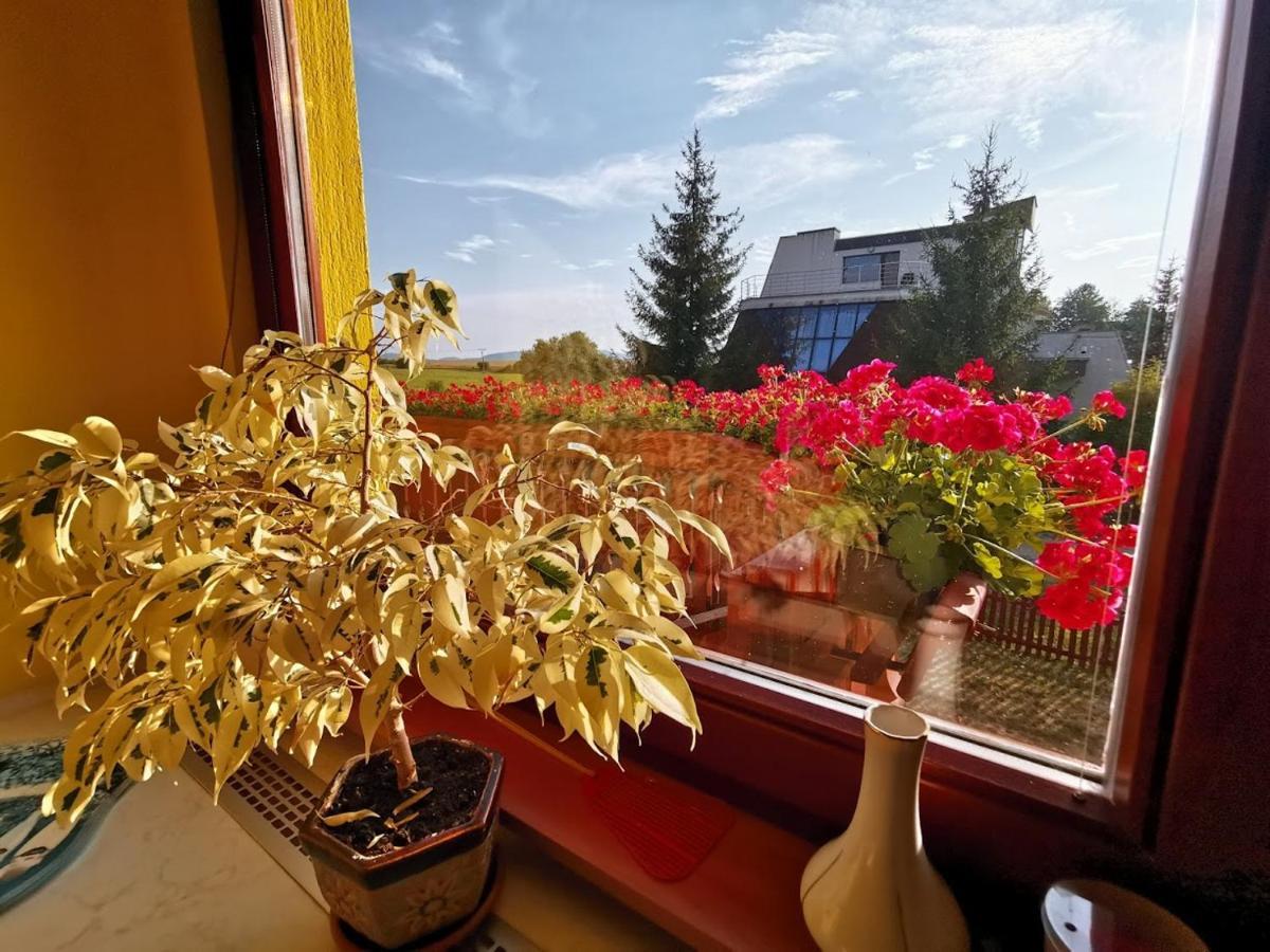 Apartmán Adrianka Turčianske Teplice Exteriér fotografie
